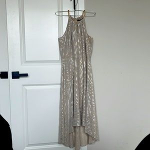 Zebra biscotti WHBM dress